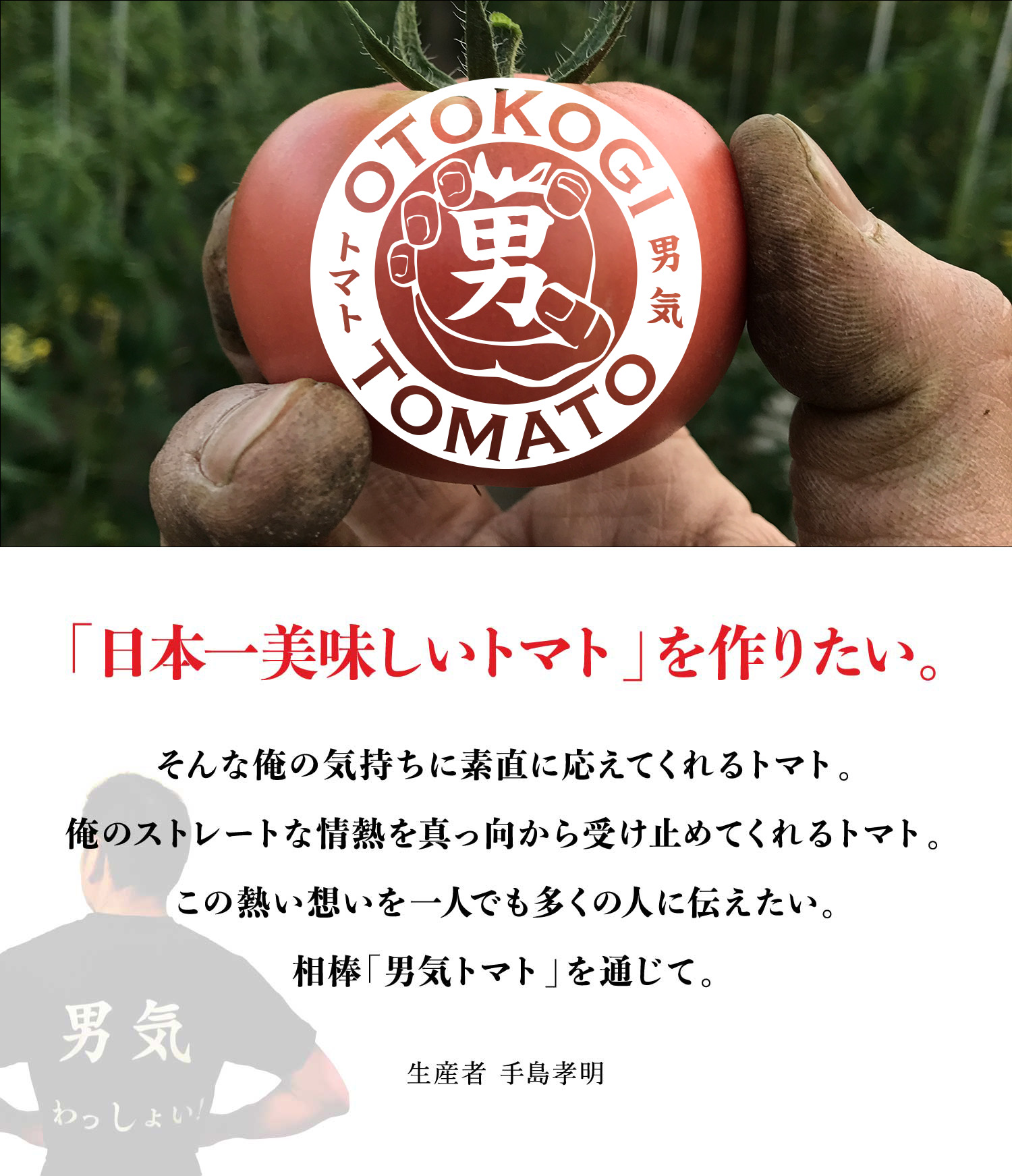 「日本一美味しいトマト」を作りたい。そんな俺の気持ちに素直に応えてくれるトマト。俺のストレートな情熱を真っ向から受け止めてくれるトマト。この熱い想いを一人でも多くの人に伝えたい。相棒「男気トマト」を通じて。 - 生産者 手島孝明